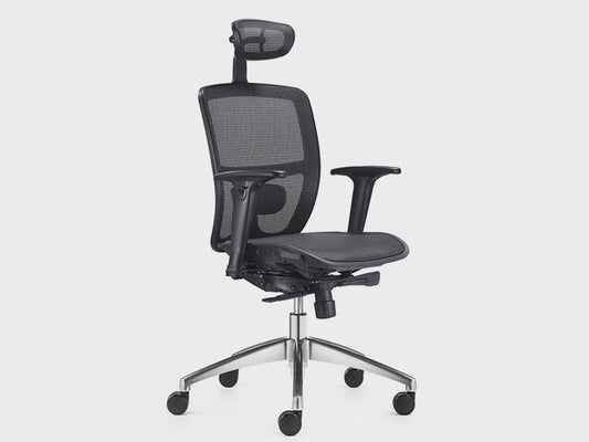 Shinemesh Ergonomic Mesh Executive Chair - Shinemesh Furniture